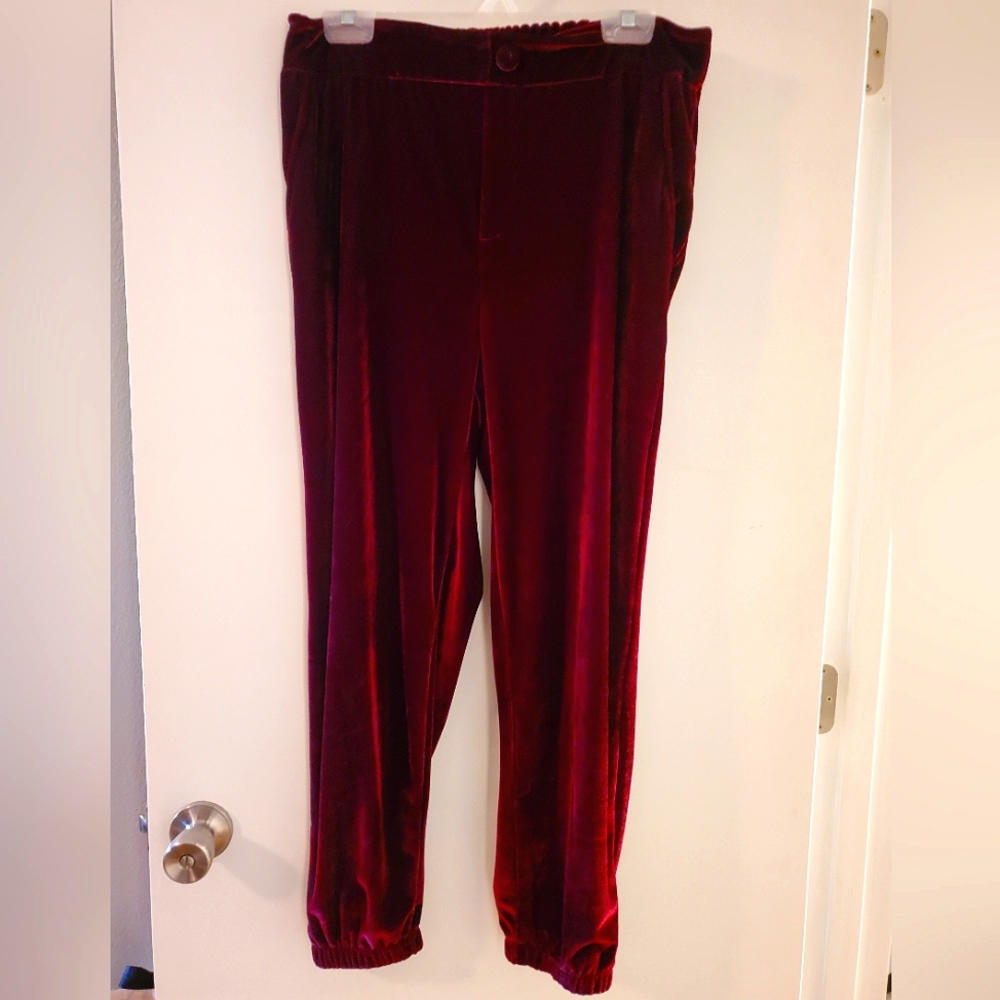 EUC OAT Macy's Burgundy Velvet Pants L